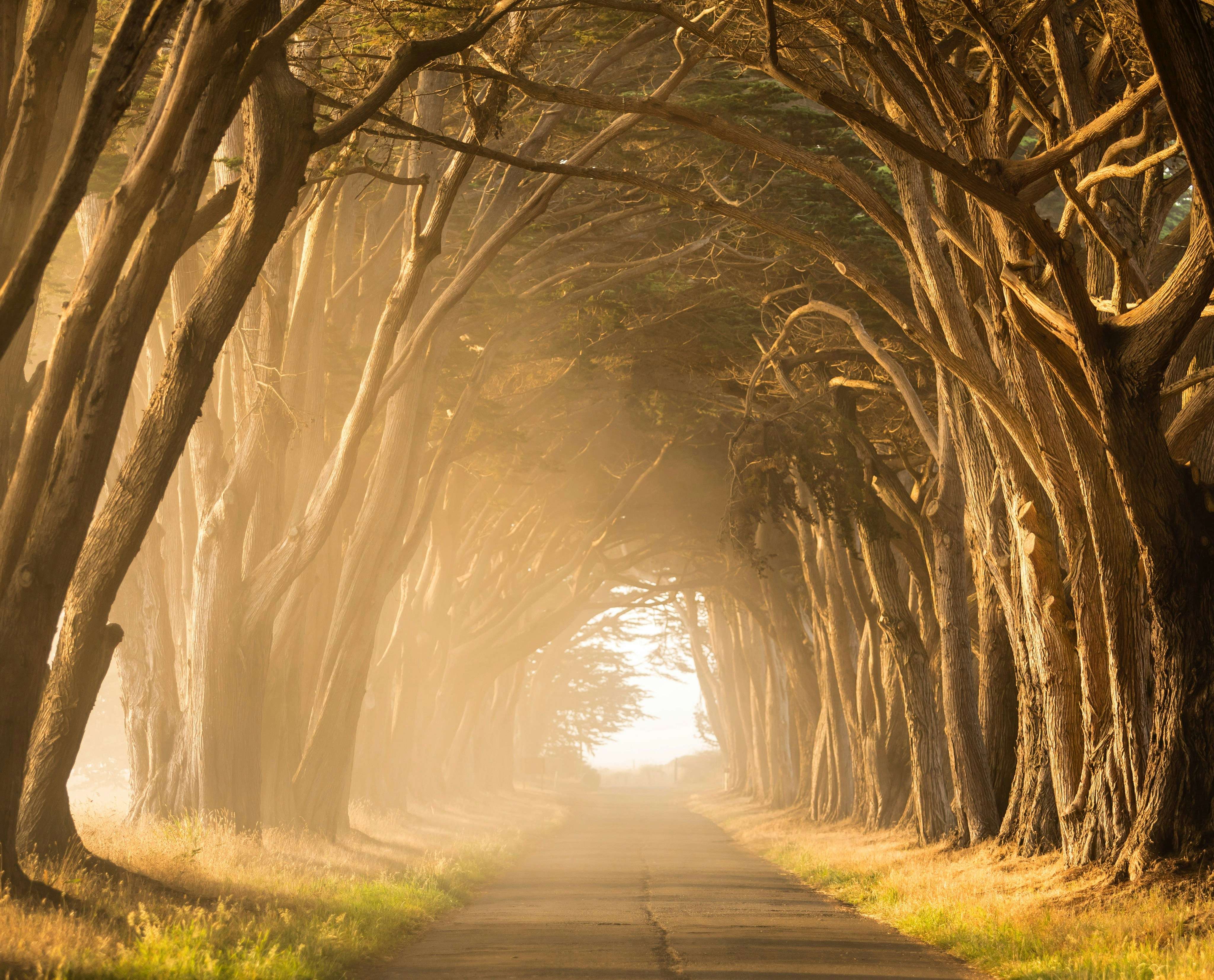 SEO career path by digital market agency by experts Grow